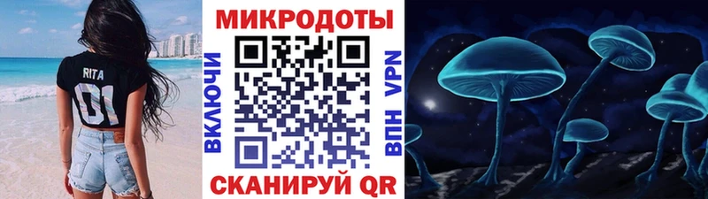 Купить где  Горячий Ключ  Псилоцибиновые грибы Psilocybine cubensis 